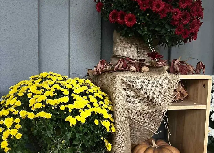 Dolynskiy * Leópolis