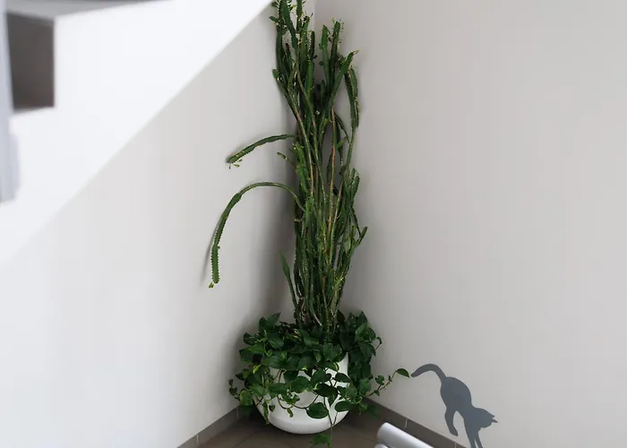 ホテル Dolynskiy *