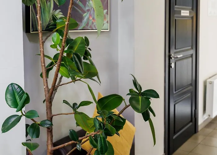 Dolynskiy Hotel Leópolis