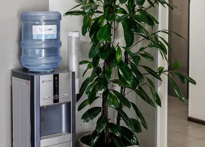 ホテル Dolynskiy *