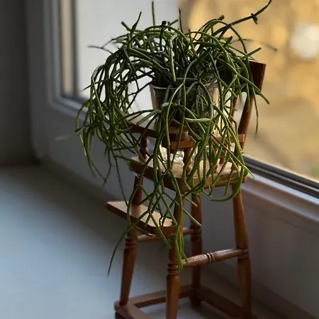 Dolynskiy * 利沃夫