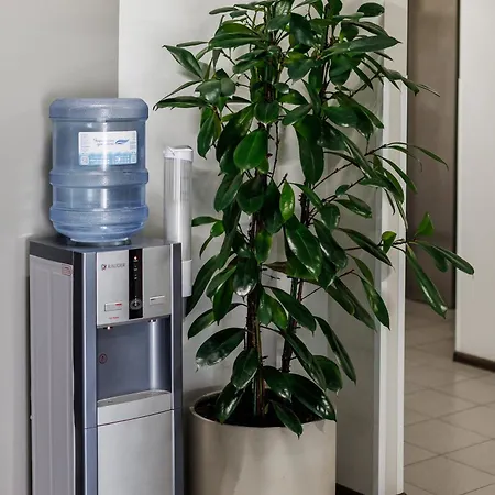 Отель Dolynskiy *